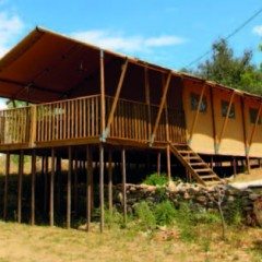 Casa Tuia