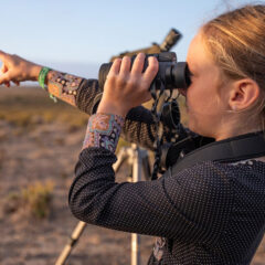 Birdwatching festival returns to Sagres in October