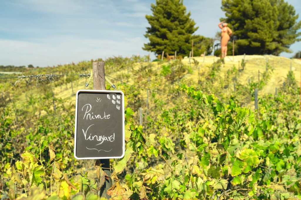 Private Vineyard Become a Remote Winemaker
