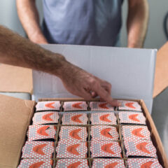 Algarve fish canning factory “Conserveira do Arade” opens for visits