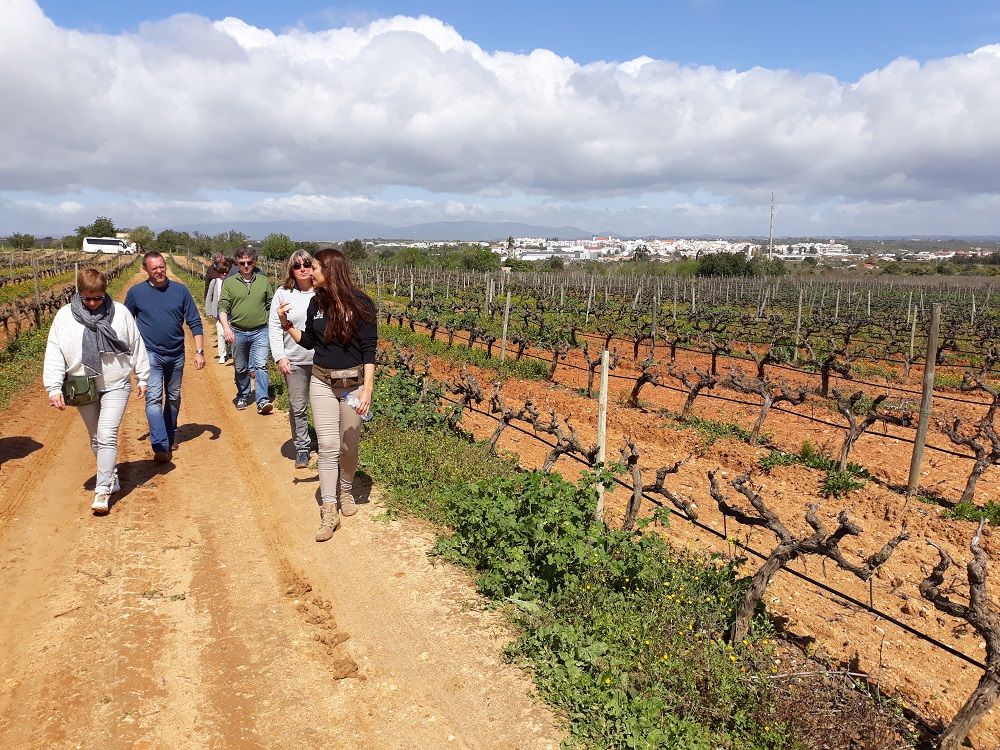 Algarve Views wine tours