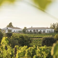 Revisiting the hidden treasures and new flavours of Quinta dos Santos