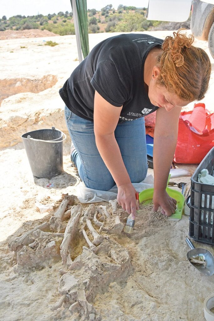 Pestana Arqueologia (by BFP) 669 - Islamic and prehistoric graves were found