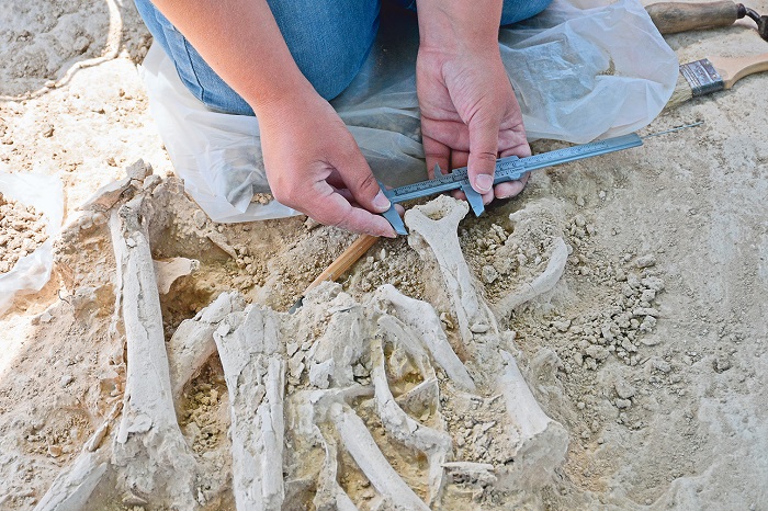 Pestana Arqueologia (by BFP) 683 - Islamic and prehistoric graves were found