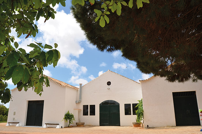 Historical Quinta da Palmeirinha in the Algarve, Portugal