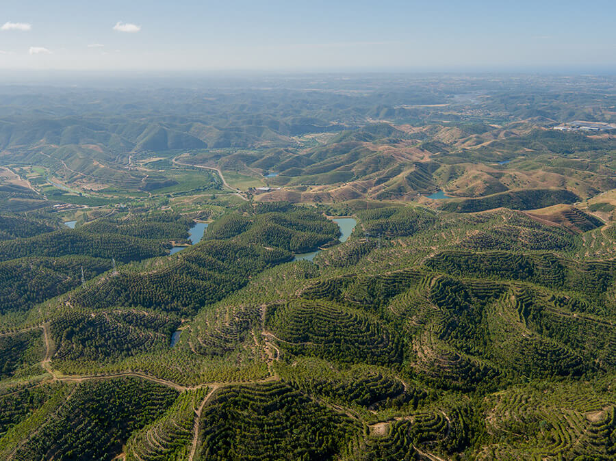 Serra Monchique, Algarve