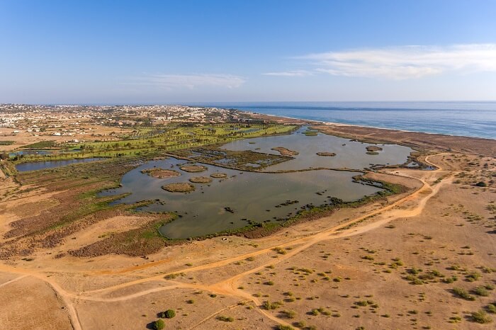 Discover some great wildlife photography spots in the Algarve with Photographer Craig Rogers - 1