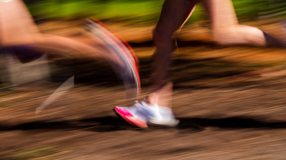 Cross country (James Lee - Unsplash)