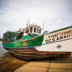 The works of the winners of Portimão’s popular “Photographic Marathon” are on display at the city’s Museum until March 30