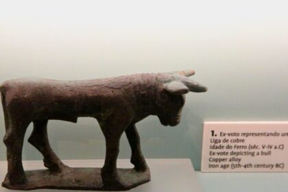 “Stories Brought by the River” Results and findings of scientific research of the Arade River showcased in temporary exhibition at Portimão Museum  