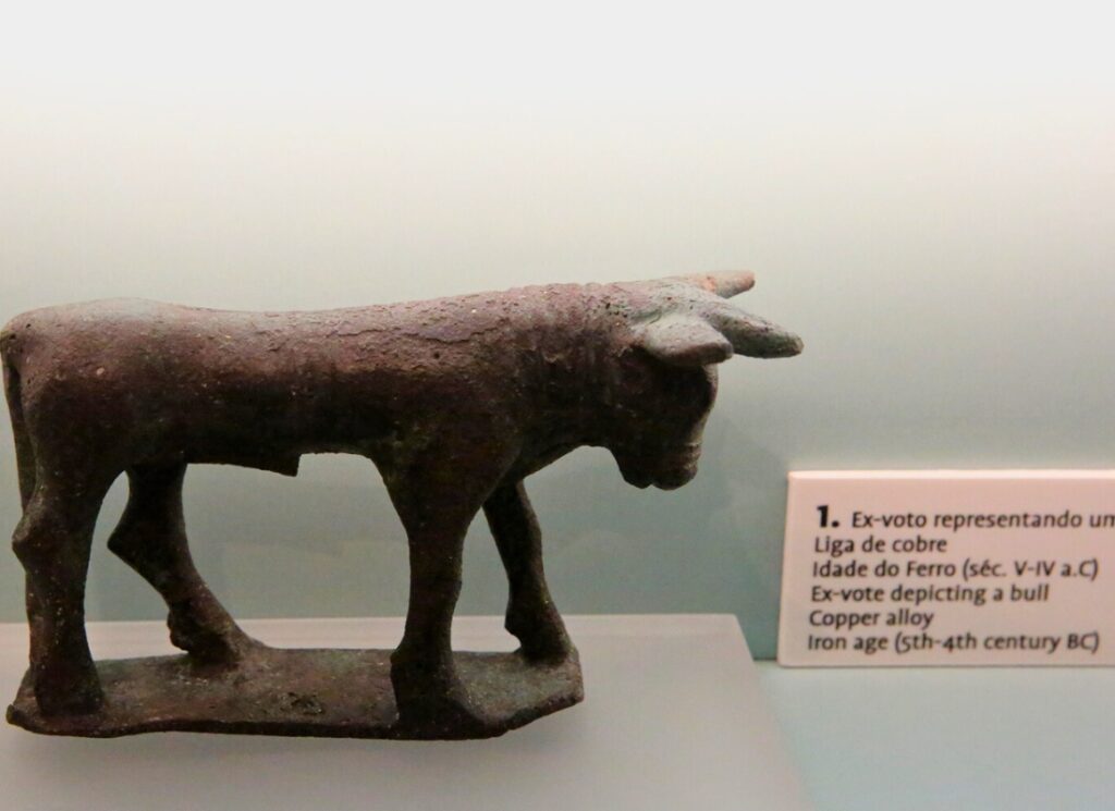 “Stories Brought by the River” Results and findings of scientific research of the Arade River showcased in temporary exhibition at Portimão Museum  