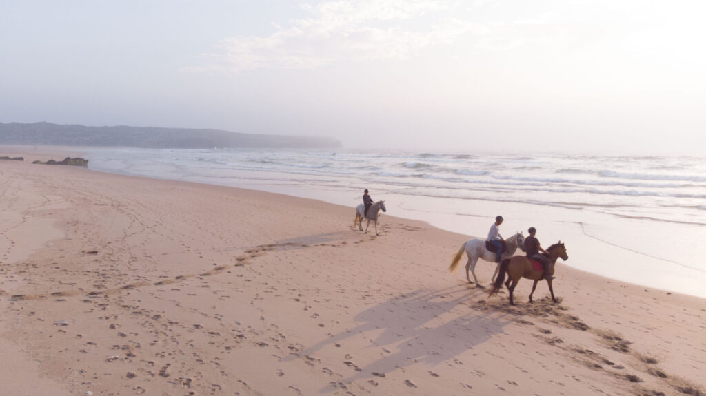 Carrapateira Extreme Horse riding, Algarve