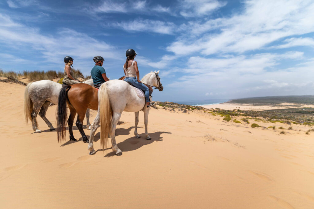 Carrapateira Extreme Horse riding, Algarve 4