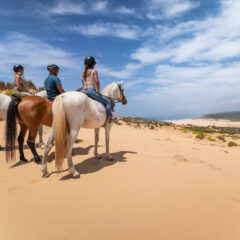 An unforgettable experience: Enjoy the sunset on a horse, cycle with friends or kayak, surf or SUP on the stunning Vicentine Coast