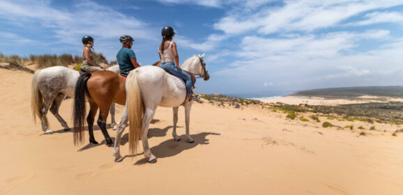 An unforgettable experience: Enjoy the sunset on a horse, cycle with friends or kayak, surf or SUP on the stunning Vicentine Coast