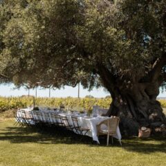 Organic Pioneers: Morgado do Quintão recognised as the “largest organic vineyard” in the Algarve