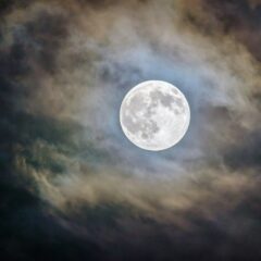 Join the free Moonlight Walks in Lagoa’s municipality this Summer