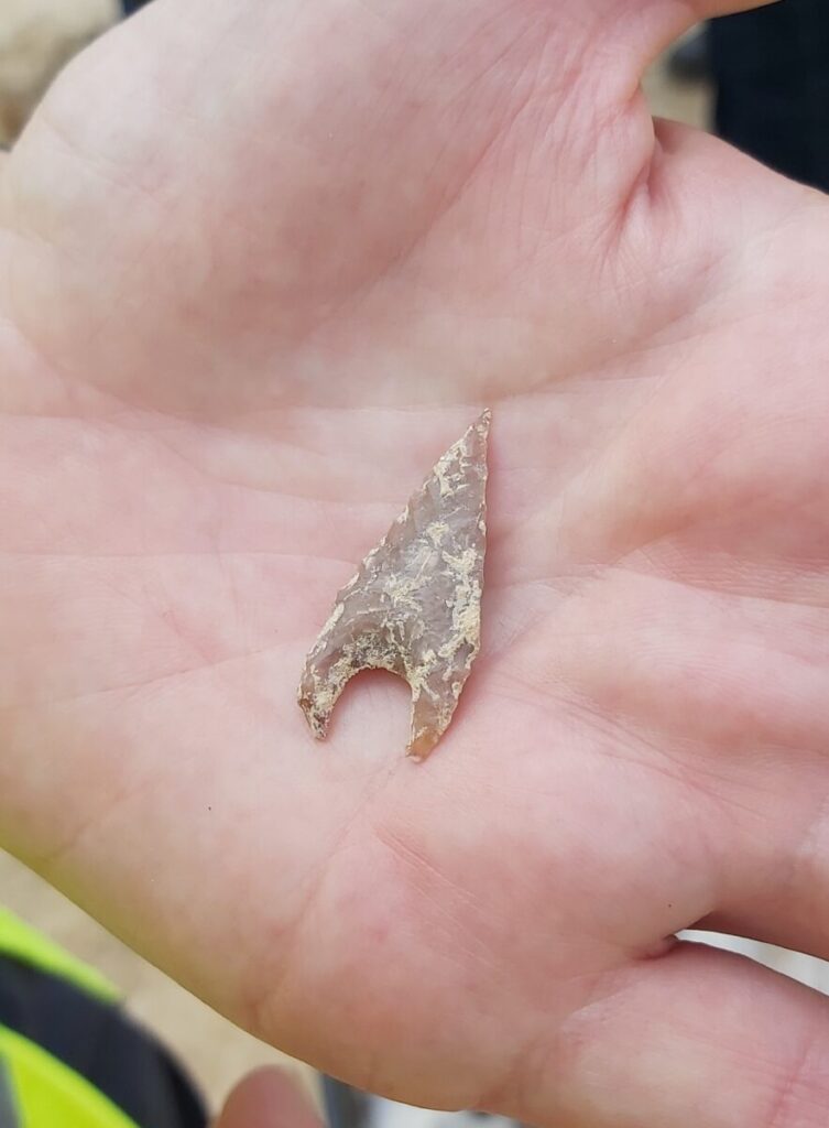 Arrowhead, Qta dos Pocos (D Clements) - Algarve Archaeological Association (AAA)