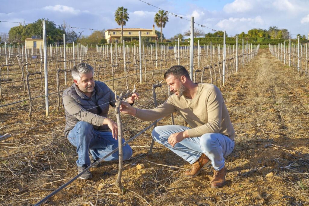 Dinis Gonçalves and João Caldeira