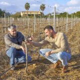 Dito Cujo: A vineyard’s journey to producing character-driven wines rooted in the soul of the Algarve
