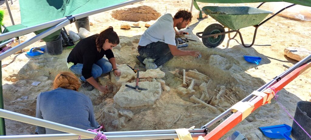 Quinta dos Poços (Joao Goncalves AAA)- Algarve Archaeological Association (AAA)