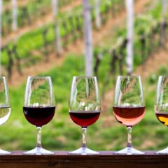 Reviewing the rising reds: Portugal’s emerging wines and its indigenous revivals