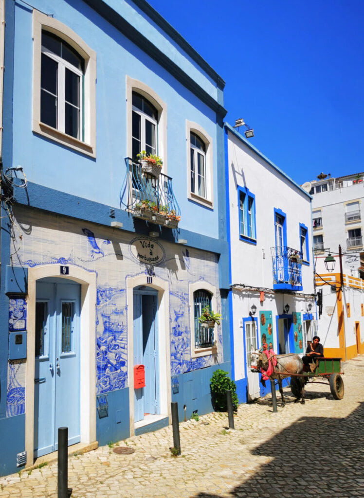 Algarve Artist Inna Iefimenko