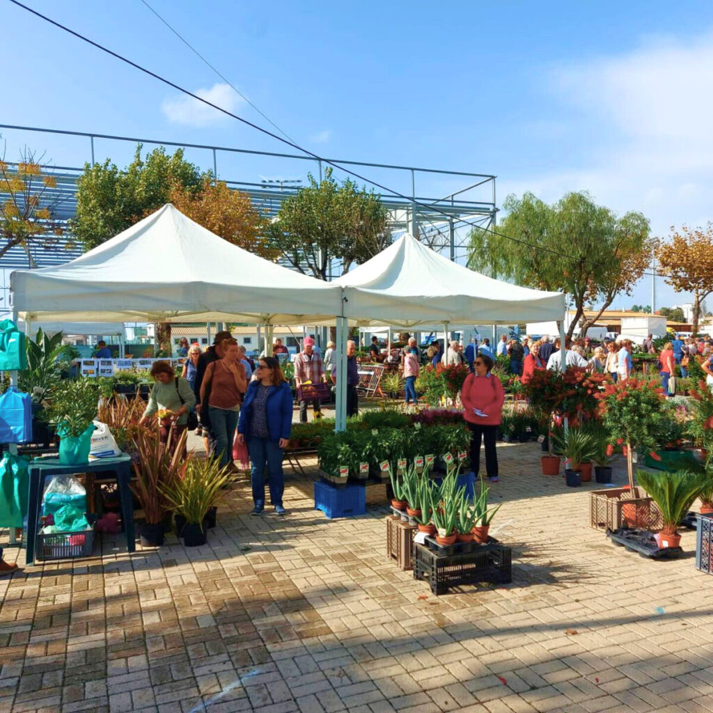 Autumn Mediterranean Garden Fair Lagoa