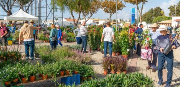 Calling all garden lovers to the Autumn Mediterranean Garden Fair