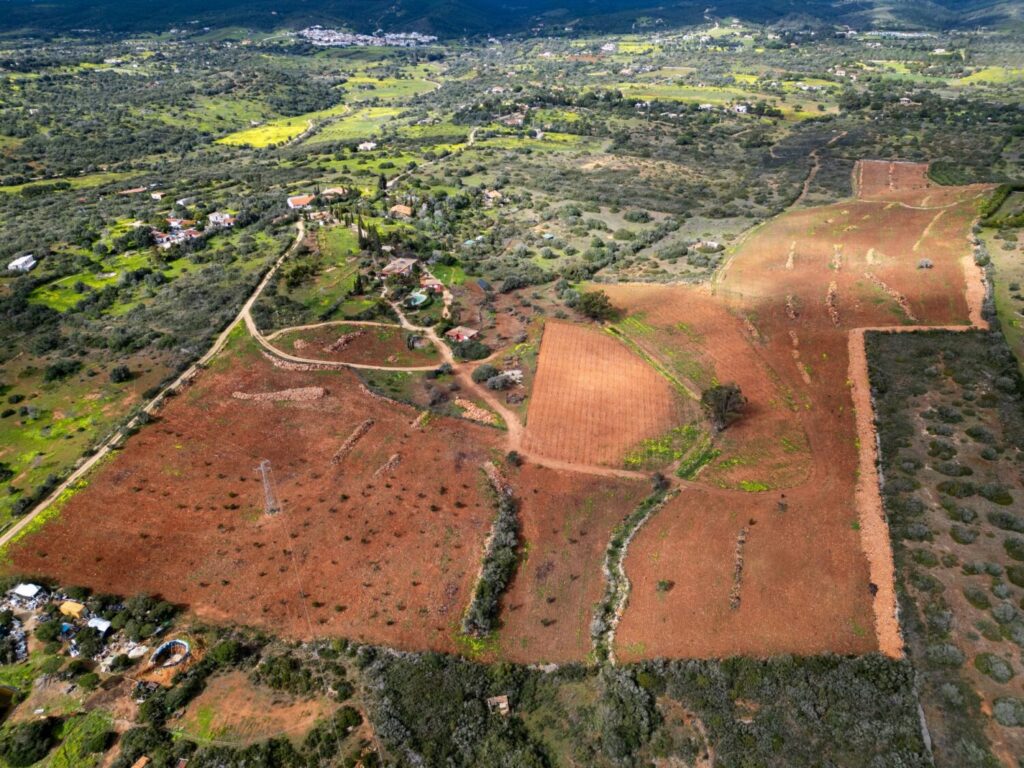 Quinta da Pedragosa