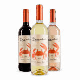 Wine Talk: Discover what’s new in the Algarve wine scene