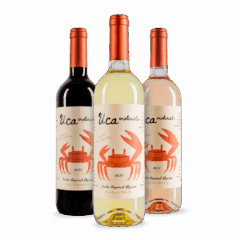 Wine Talk: Discover what’s new in the Algarve wine scene