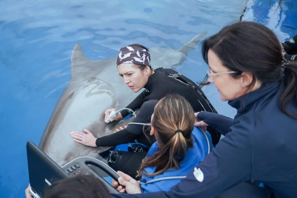 Zoomarine Aquatic Mammals Emergency Response Group 1