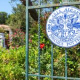 A fresh start: Café da Olaria, beside Porches Pottery, is under new management