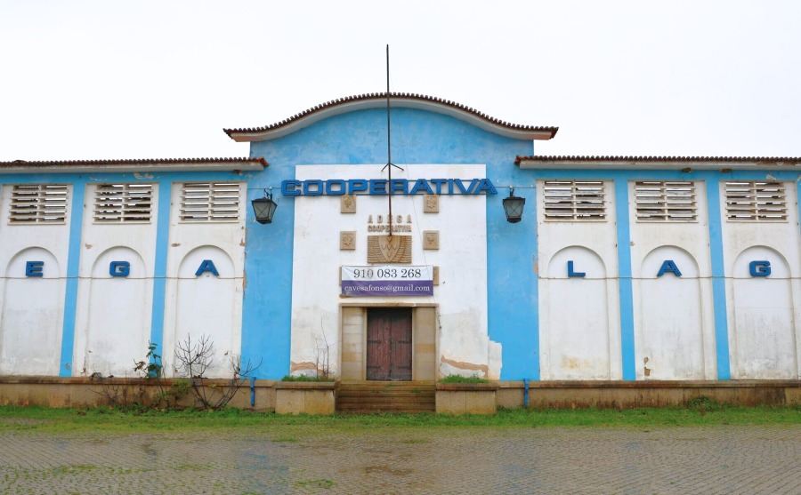 ÚNICA wine cooperative