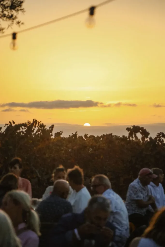 An intimate evening of wine, music, and community under the Algarve sky
