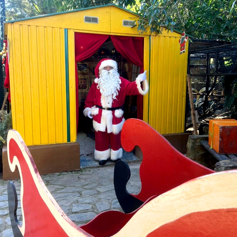 Christmas at the zoo Lagos Zoo brings back its festive Natalândia