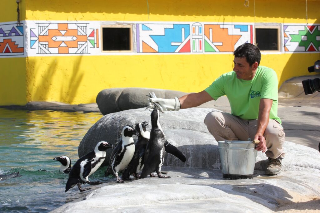 Lagos Zoo brings Natalândia 5