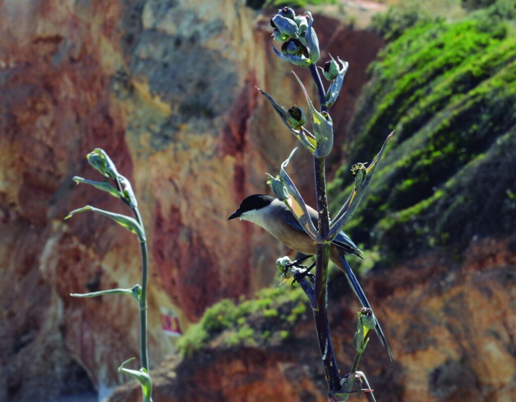 25th Photographic Race 2025 2