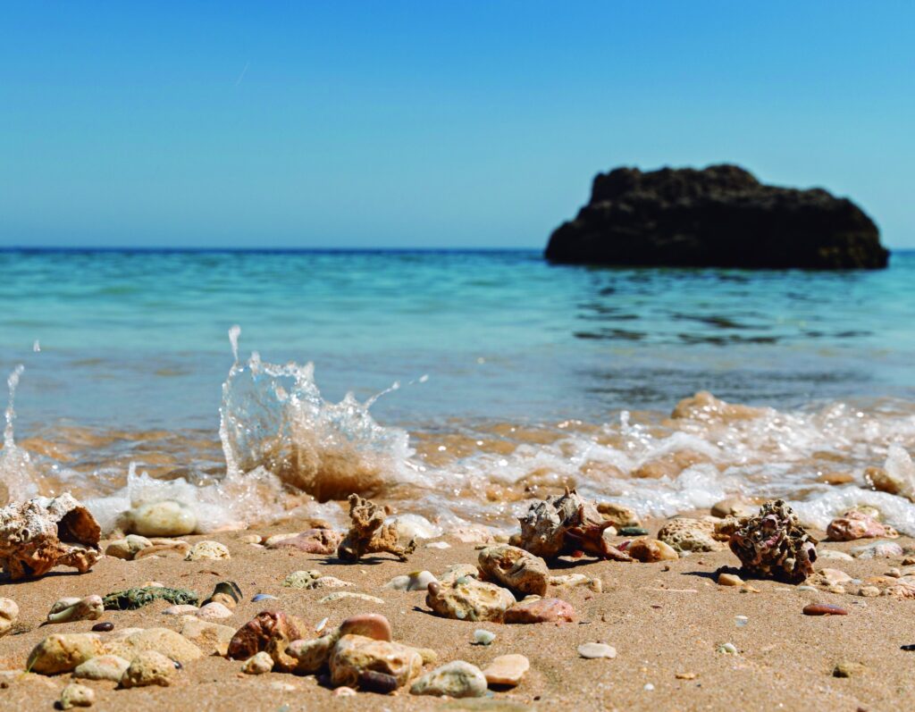 25th Photographic Race 2025 2