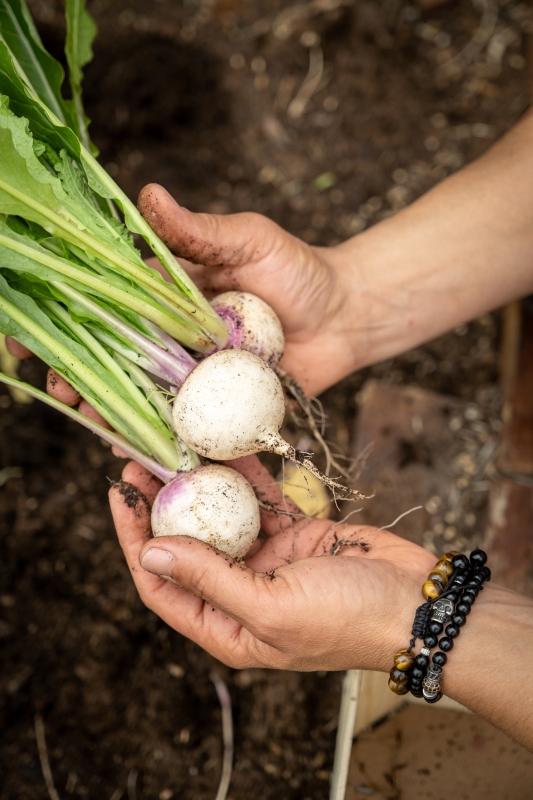 Näperõn restaurant, Odeceixe