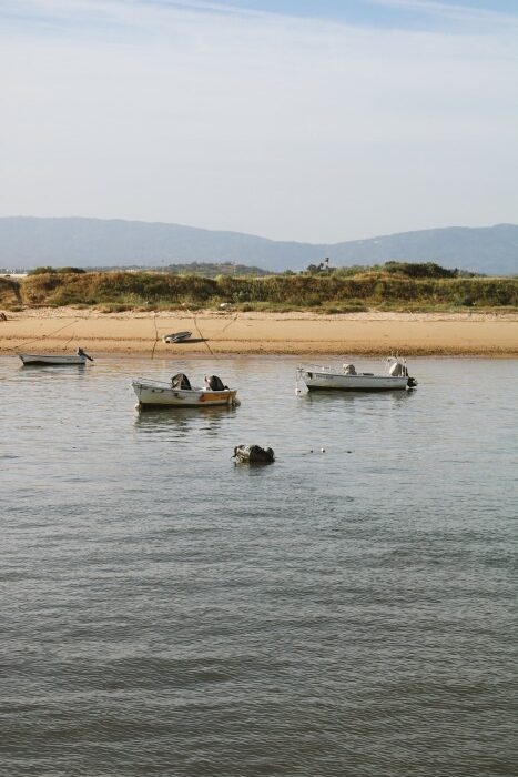 Sueste restaurant in Ferragudo 5