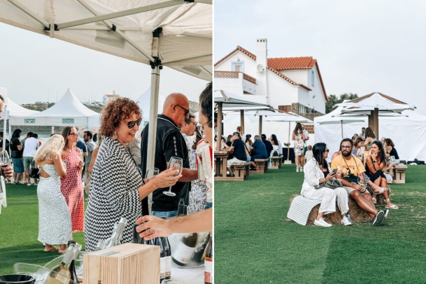 Discover organic local wines at Prova na Vila in Aljezur