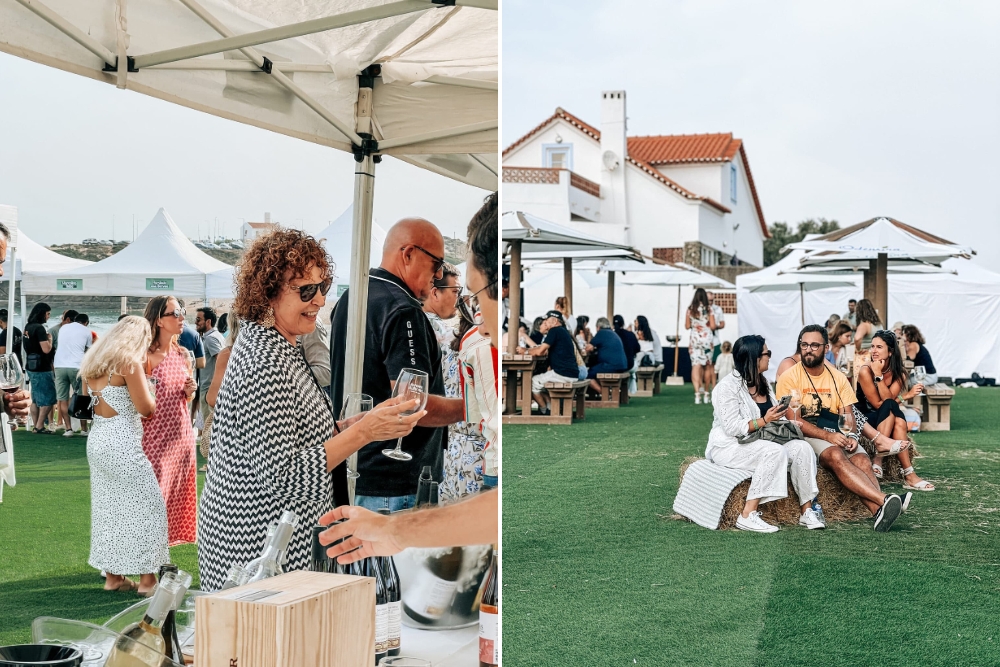 Discover organic local wines at Prova na Vila in Aljezur