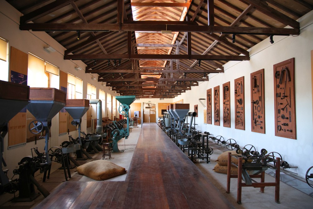 Silves Cork Museum inside
