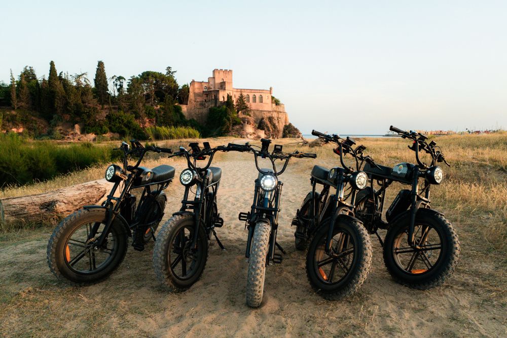 Mozka Coast Tours Algarve 16546