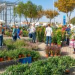 Autumn Mediterranean Garden Fair returns to Lagoa for planting season
