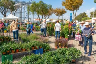 Autumn Mediterranean Garden Fair returns to Lagoa for planting season